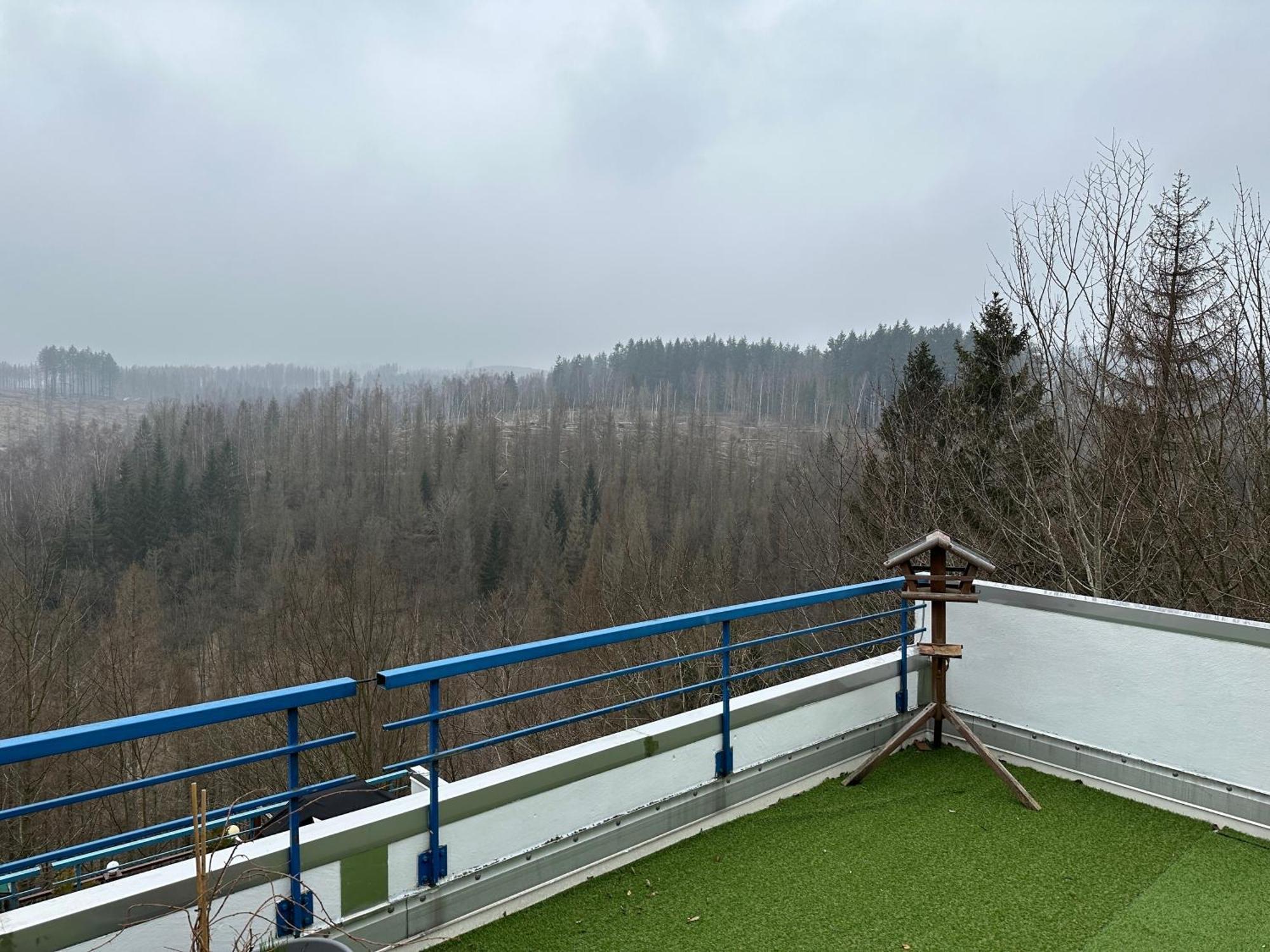 Ferienwohnung Harz #4, Pool, Sauna, Wlan Braunlage Luaran gambar